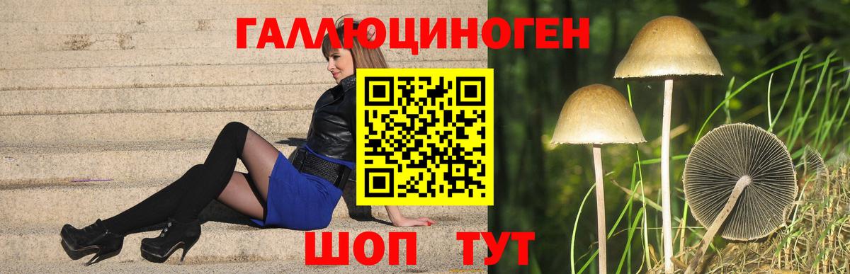Псилоцибиновые грибы Cubensis  Вход с VPN  Псилоцибиновые грибы мухоморы  Лениногорск 